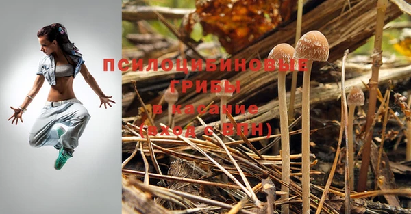 круглые Пестово