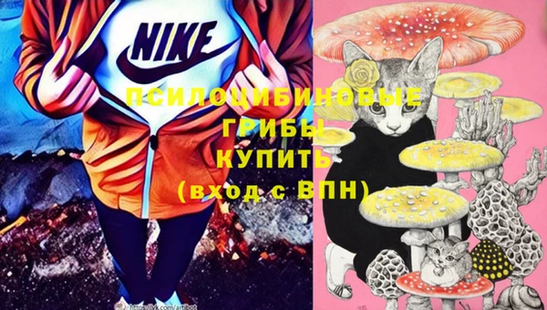 круглые Пестово