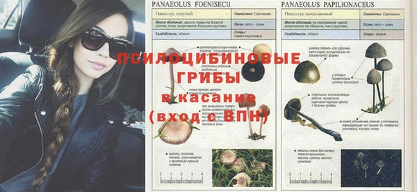 скорость Пересвет